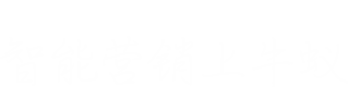 牛蚁-企业级SaaS营销平台：品牌|网站建设、网络营销推广工具