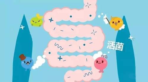 新风口！益生菌或将助力膳食补充剂品类造就百亿市场